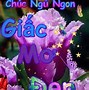 Chúc Ngủ Ngon