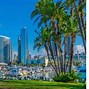 Du Lịch Sinh Thái Hoang Sơ Ở California San Diego Usa