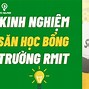 Học Bổng Rmit Báo Nhiều Tiên 1 Tháng 5