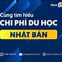 Học Phí 1 Năm Du Học Nhật Bản 2024 Tại Mỹ Bao Nhiêu Tiền