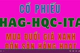 Mã Cổ Phiếu Hag