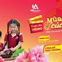 Mầm Non Trí Việt