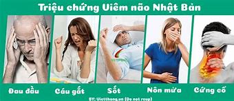 Mũi Viêm Não Nhật Bản Có Mấy Loại