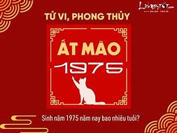 Sinh Năm 1975 Bao Nhiêu Tuổi Về Hưu